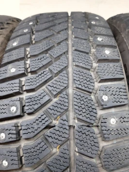 205/55 R16 Viatti Brina Nordico V-522